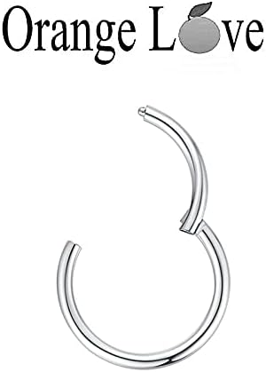 ORANGELOVE Hypoallergenic Nose Rings 20G 18G 16G 14G 12G 10G 8G 316l Surgical Steel Septum Jewelry Hinged Segment Ring Body Piercing Nose Hoop Lip Rings Nose Helix Cartilage Rook Earrings