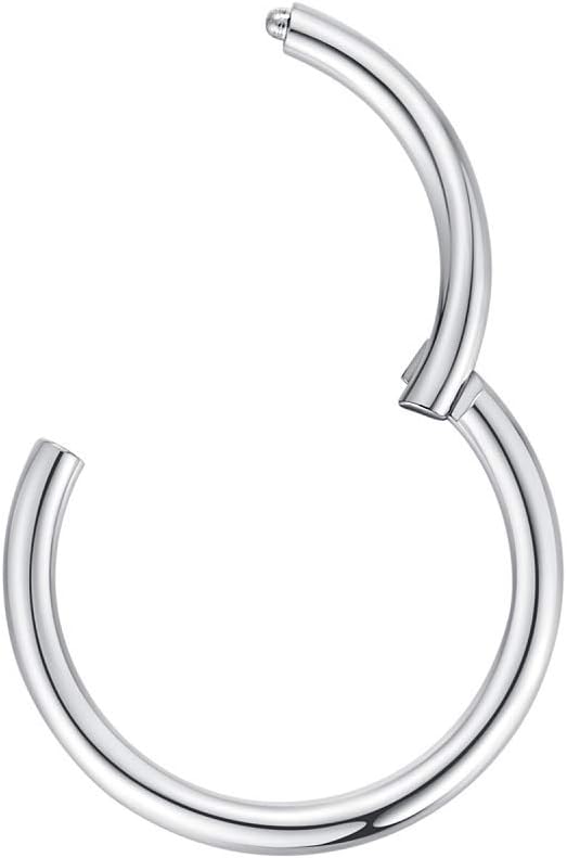 ORANGELOVE Hypoallergenic Nose Rings 20G 18G 16G 14G 12G 10G 8G 316l Surgical Steel Septum Jewelry Hinged Segment Ring Body Piercing Nose Hoop Lip Rings Nose Helix Cartilage Rook Earrings