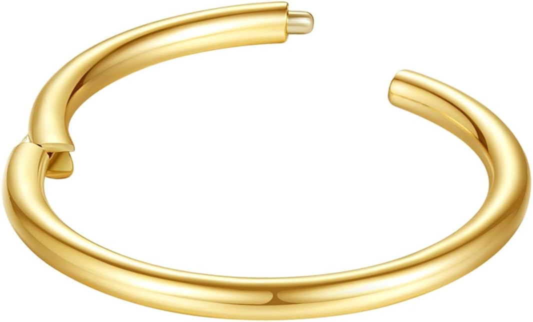 ORANGELOVE Hypoallergenic Nose Rings 20G 18G 16G 14G 12G 10G 8G 316l Surgical Steel Septum Jewelry Hinged Segment Ring Body Piercing Nose Hoop Lip Rings Nose Helix Cartilage Rook Earrings