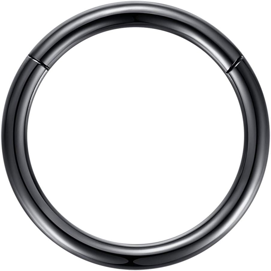 ORANGELOVE Hypoallergenic Nose Rings 20G 18G 16G 14G 12G 10G 8G 316l Surgical Steel Septum Jewelry Hinged Segment Ring Body Piercing Nose Hoop Lip Rings Nose Helix Cartilage Rook Earrings