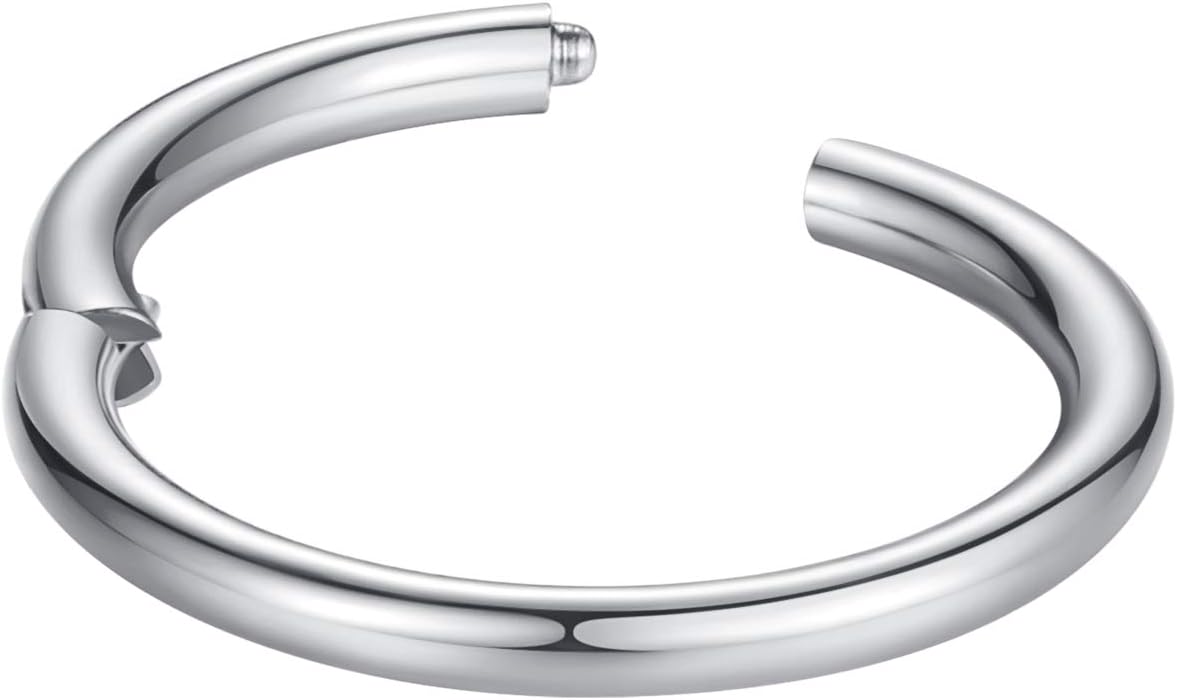 ORANGELOVE Hypoallergenic Nose Rings 20G 18G 16G 14G 12G 10G 8G 316l Surgical Steel Septum Jewelry Hinged Segment Ring Body Piercing Nose Hoop Lip Rings Nose Helix Cartilage Rook Earrings