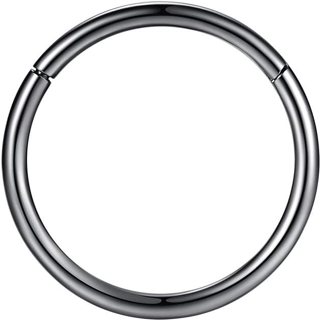 ORANGELOVE Hypoallergenic Nose Rings 20G 18G 16G 14G 12G 10G 8G 316l Surgical Steel Septum Jewelry Hinged Segment Ring Body Piercing Nose Hoop Lip Rings Nose Helix Cartilage Rook Earrings