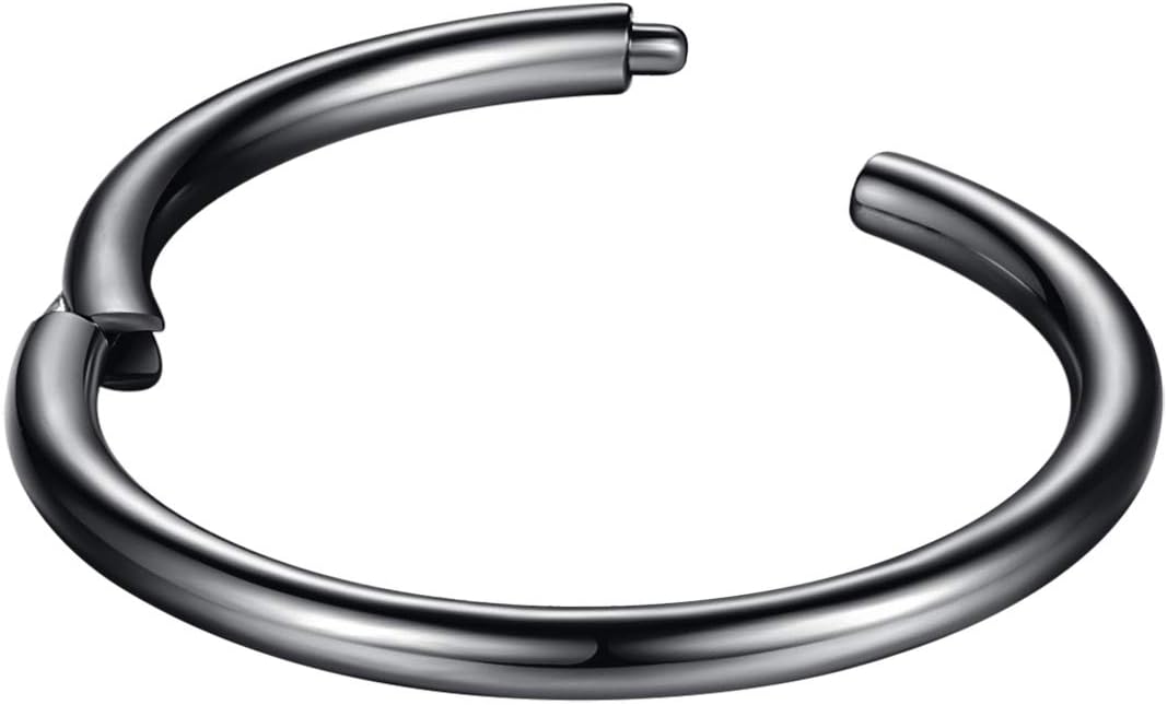 ORANGELOVE Hypoallergenic Nose Rings 20G 18G 16G 14G 12G 10G 8G 316l Surgical Steel Septum Jewelry Hinged Segment Ring Body Piercing Nose Hoop Lip Rings Nose Helix Cartilage Rook Earrings