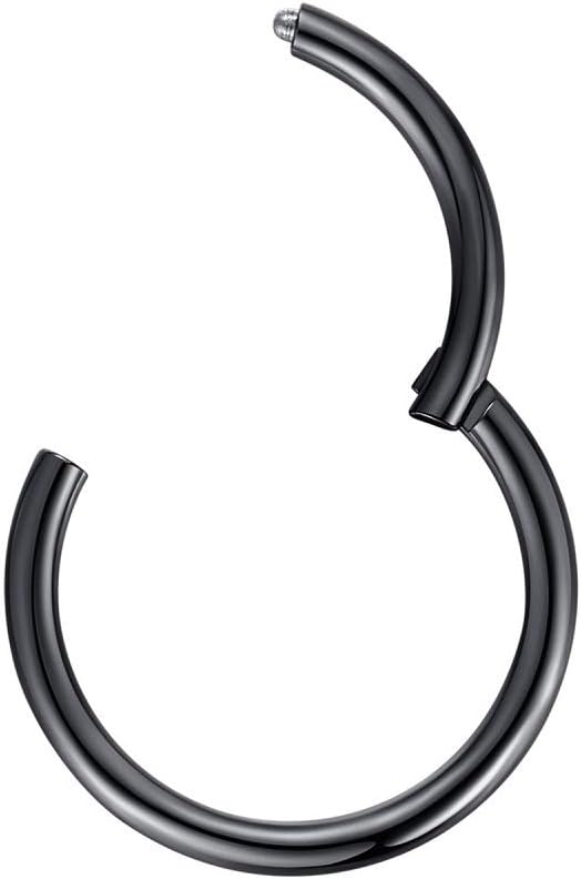 ORANGELOVE Hypoallergenic Nose Rings 20G 18G 16G 14G 12G 10G 8G 316l Surgical Steel Septum Jewelry Hinged Segment Ring Body Piercing Nose Hoop Lip Rings Nose Helix Cartilage Rook Earrings