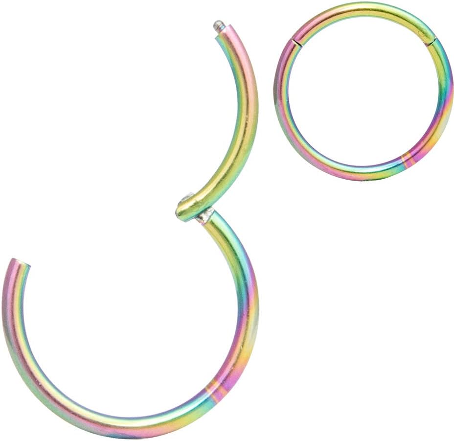 ORANGELOVE Hypoallergenic Nose Rings 20G 18G 16G 14G 12G 10G 8G 316l Surgical Steel Septum Jewelry Hinged Segment Ring Body Piercing Nose Hoop Lip Rings Nose Helix Cartilage Rook Earrings