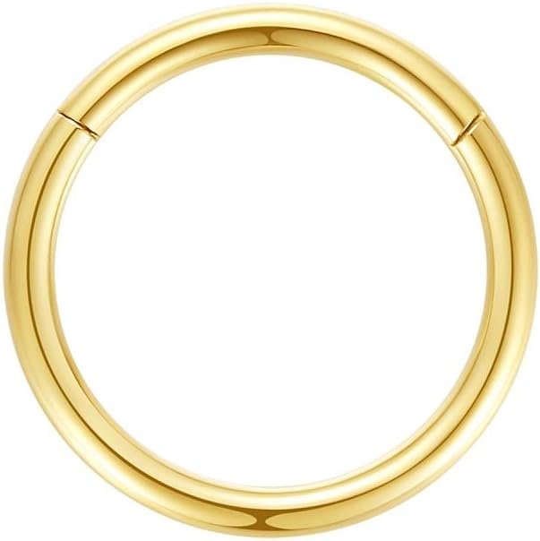 ORANGELOVE Hypoallergenic Nose Rings 20G 18G 16G 14G 12G 10G 8G 316l Surgical Steel Septum Jewelry Hinged Segment Ring Body Piercing Nose Hoop Lip Rings Nose Helix Cartilage Rook Earrings