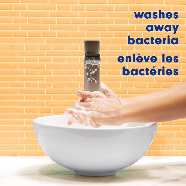 Softsoap Antibacterial Liquid Hand Soap Refill, White Tea & Berry Scented Hand Soap, 50 Ounce(Packaging May Vary)