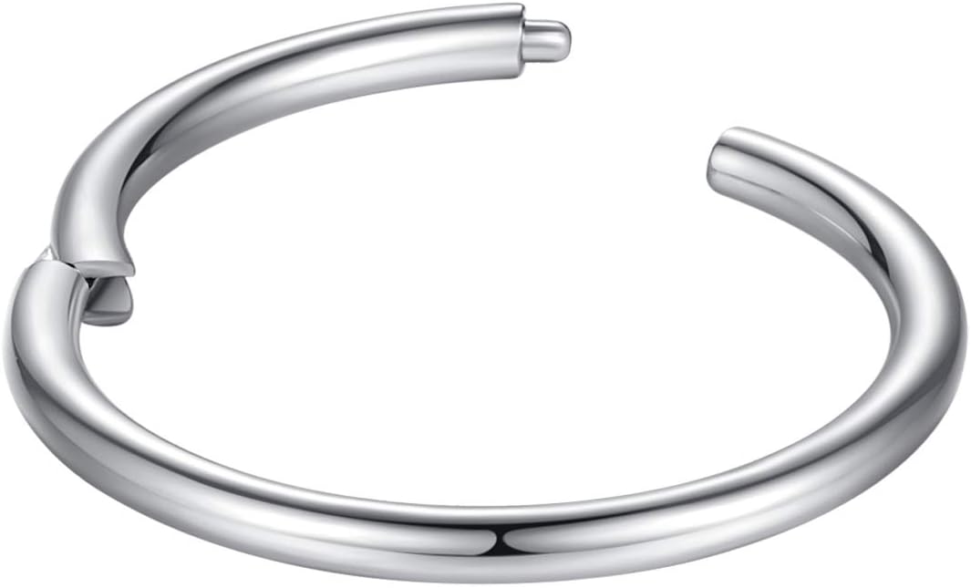 ORANGELOVE Hypoallergenic Nose Rings 20G 18G 16G 14G 12G 10G 8G 316l Surgical Steel Septum Jewelry Hinged Segment Ring Body Piercing Nose Hoop Lip Rings Nose Helix Cartilage Rook Earrings