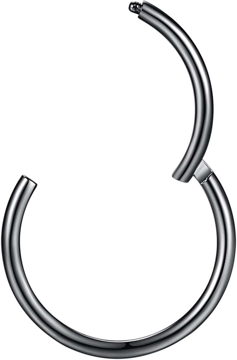 ORANGELOVE Hypoallergenic Nose Rings 20G 18G 16G 14G 12G 10G 8G 316l Surgical Steel Septum Jewelry Hinged Segment Ring Body Piercing Nose Hoop Lip Rings Nose Helix Cartilage Rook Earrings