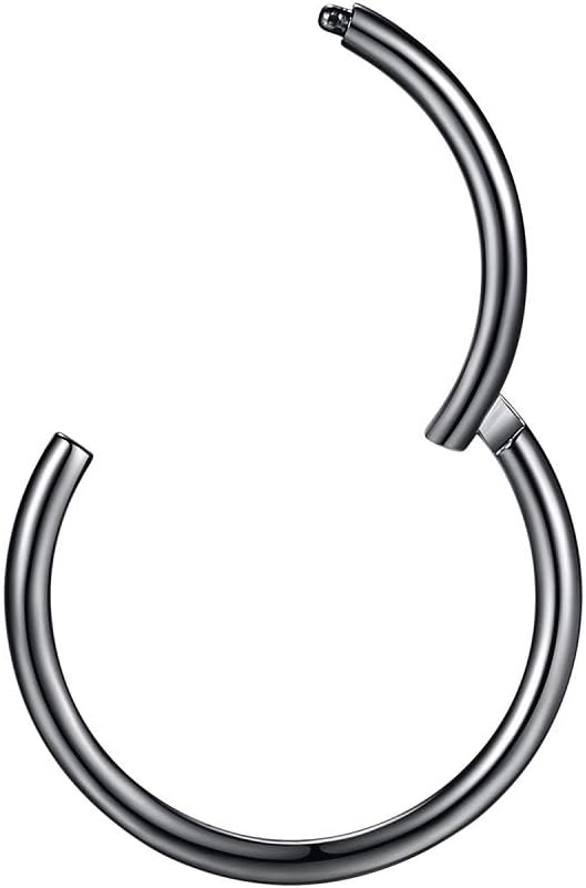 ORANGELOVE Hypoallergenic Nose Rings 20G 18G 16G 14G 12G 10G 8G 316l Surgical Steel Septum Jewelry Hinged Segment Ring Body Piercing Nose Hoop Lip Rings Nose Helix Cartilage Rook Earrings