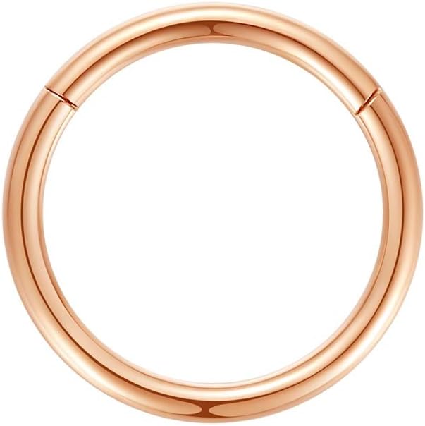 ORANGELOVE Hypoallergenic Nose Rings 20G 18G 16G 14G 12G 10G 8G 316l Surgical Steel Septum Jewelry Hinged Segment Ring Body Piercing Nose Hoop Lip Rings Nose Helix Cartilage Rook Earrings