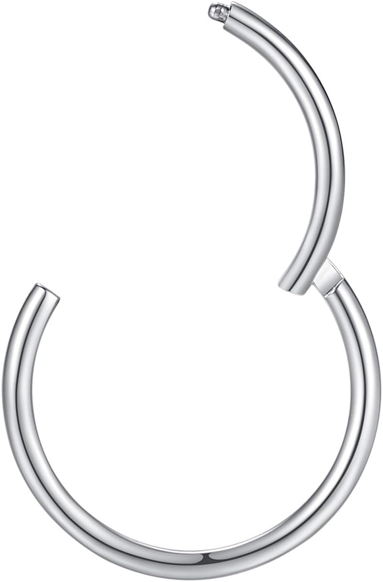 ORANGELOVE Hypoallergenic Nose Rings 20G 18G 16G 14G 12G 10G 8G 316l Surgical Steel Septum Jewelry Hinged Segment Ring Body Piercing Nose Hoop Lip Rings Nose Helix Cartilage Rook Earrings