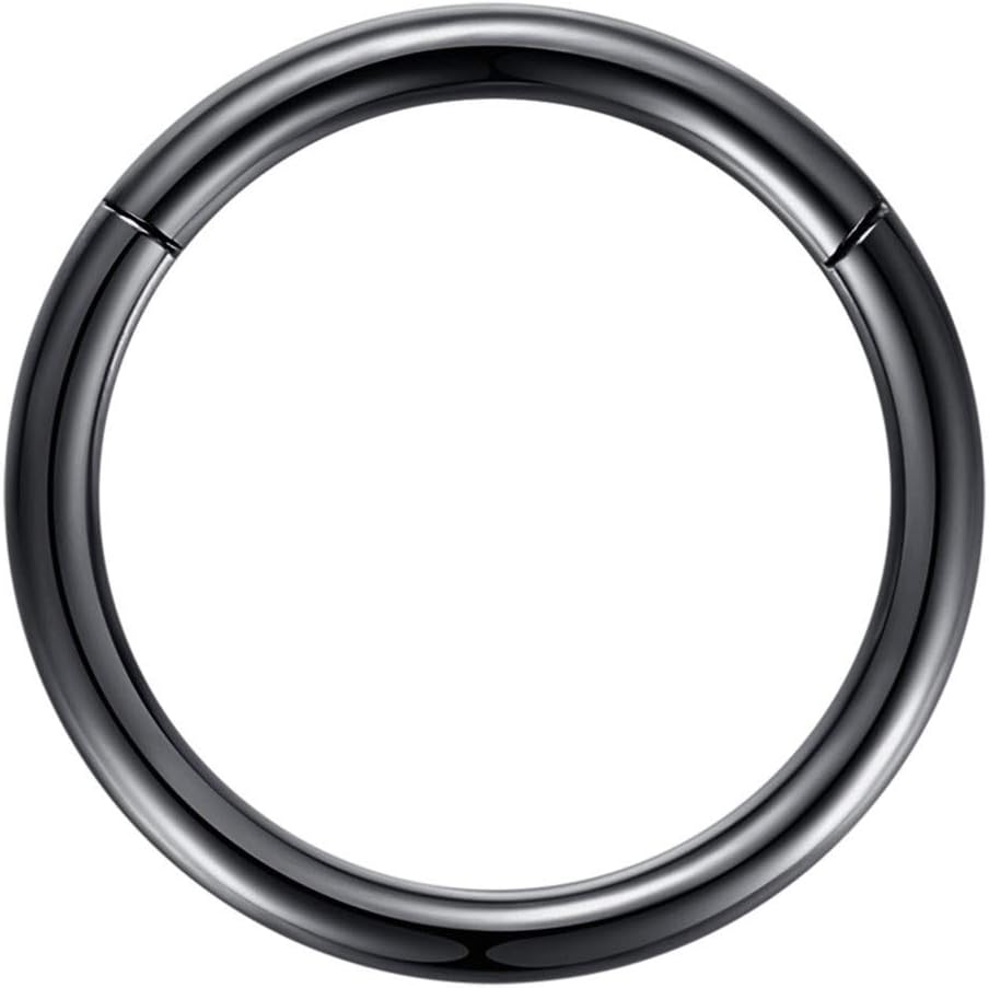 ORANGELOVE Hypoallergenic Nose Rings 20G 18G 16G 14G 12G 10G 8G 316l Surgical Steel Septum Jewelry Hinged Segment Ring Body Piercing Nose Hoop Lip Rings Nose Helix Cartilage Rook Earrings