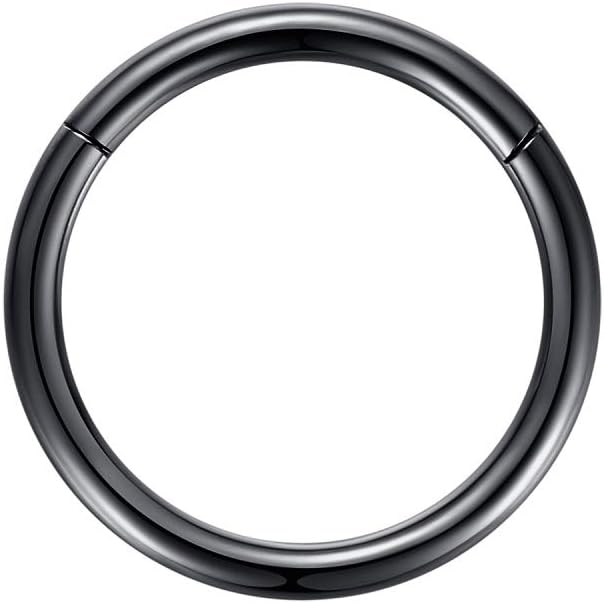 ORANGELOVE Hypoallergenic Nose Rings 20G 18G 16G 14G 12G 10G 8G 316l Surgical Steel Septum Jewelry Hinged Segment Ring Body Piercing Nose Hoop Lip Rings Nose Helix Cartilage Rook Earrings