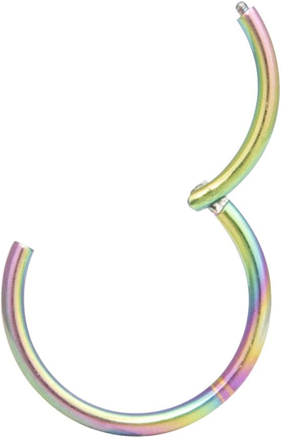 ORANGELOVE Hypoallergenic Nose Rings 20G 18G 16G 14G 12G 10G 8G 316l Surgical Steel Septum Jewelry Hinged Segment Ring Body Piercing Nose Hoop Lip Rings Nose Helix Cartilage Rook Earrings