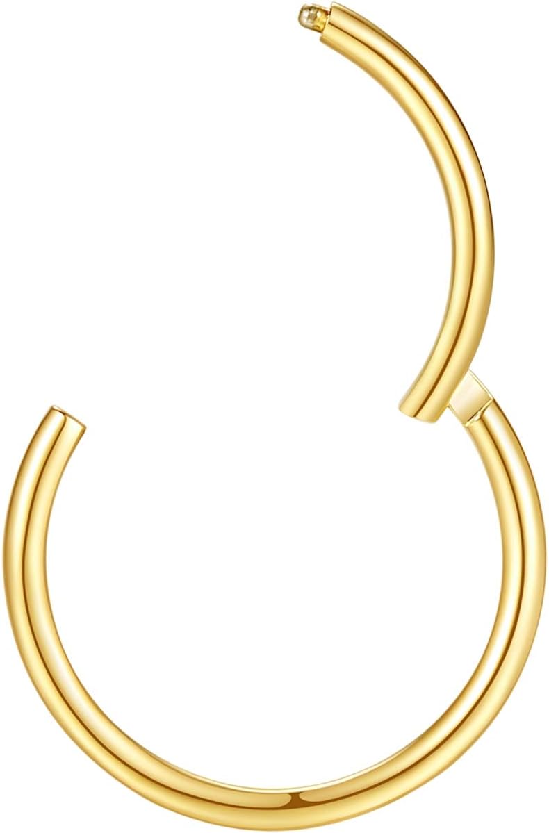 ORANGELOVE Hypoallergenic Nose Rings 20G 18G 16G 14G 12G 10G 8G 316l Surgical Steel Septum Jewelry Hinged Segment Ring Body Piercing Nose Hoop Lip Rings Nose Helix Cartilage Rook Earrings