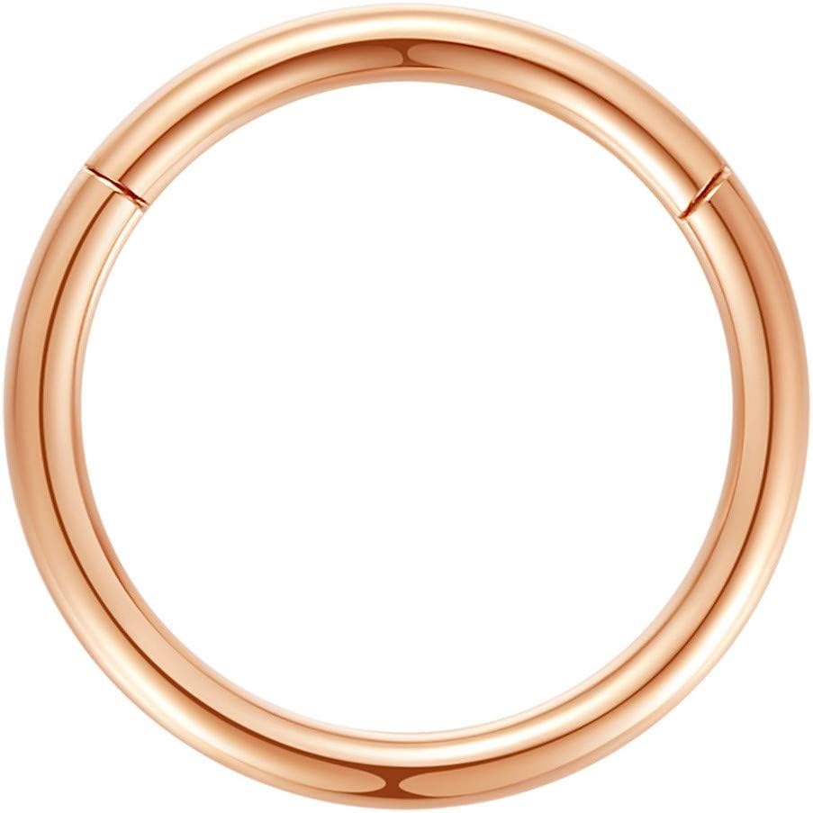 ORANGELOVE Hypoallergenic Nose Rings 20G 18G 16G 14G 12G 10G 8G 316l Surgical Steel Septum Jewelry Hinged Segment Ring Body Piercing Nose Hoop Lip Rings Nose Helix Cartilage Rook Earrings