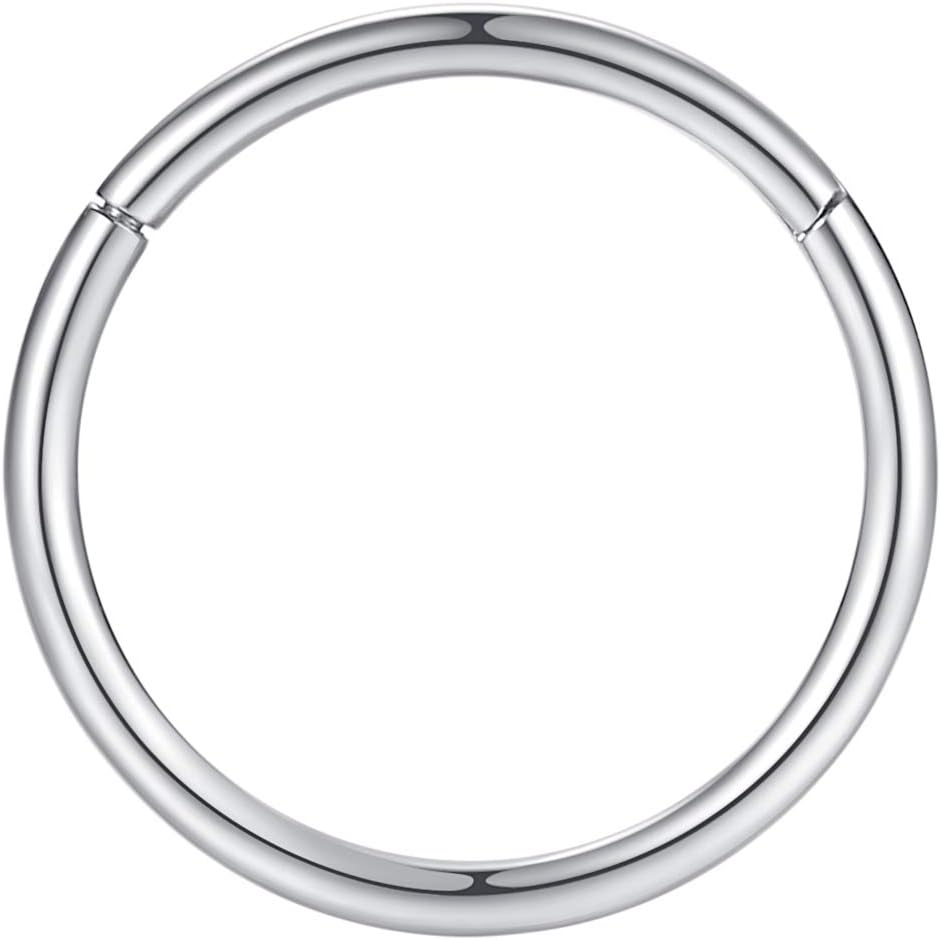 ORANGELOVE Hypoallergenic Nose Rings 20G 18G 16G 14G 12G 10G 8G 316l Surgical Steel Septum Jewelry Hinged Segment Ring Body Piercing Nose Hoop Lip Rings Nose Helix Cartilage Rook Earrings