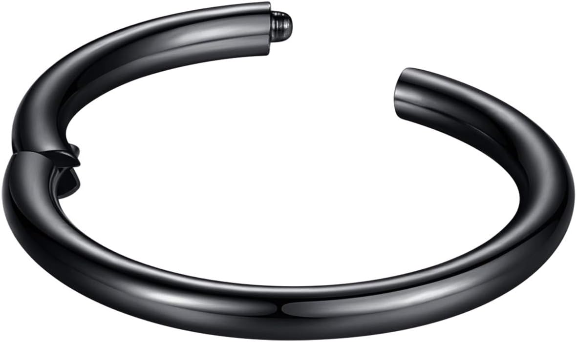 ORANGELOVE Hypoallergenic Nose Rings 20G 18G 16G 14G 12G 10G 8G 316l Surgical Steel Septum Jewelry Hinged Segment Ring Body Piercing Nose Hoop Lip Rings Nose Helix Cartilage Rook Earrings