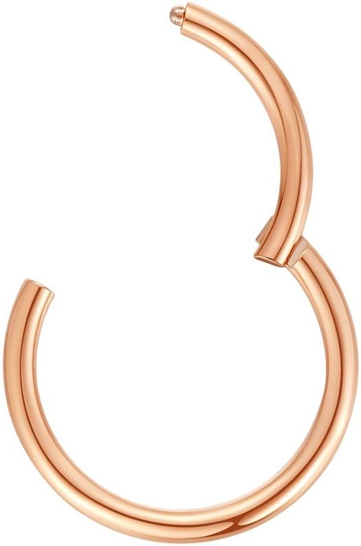 ORANGELOVE Hypoallergenic Nose Rings 20G 18G 16G 14G 12G 10G 8G 316l Surgical Steel Septum Jewelry Hinged Segment Ring Body Piercing Nose Hoop Lip Rings Nose Helix Cartilage Rook Earrings