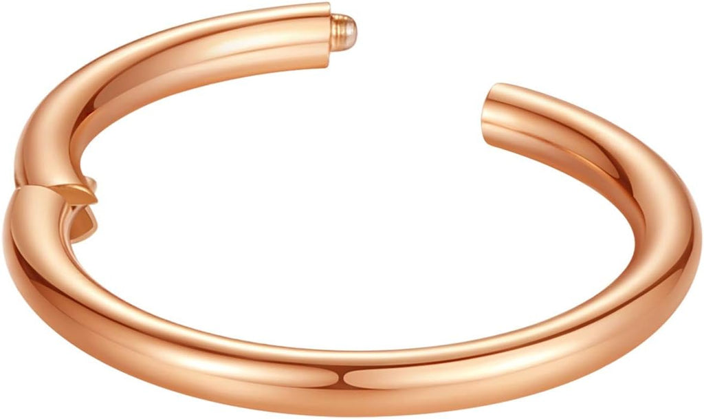 ORANGELOVE Hypoallergenic Nose Rings 20G 18G 16G 14G 12G 10G 8G 316l Surgical Steel Septum Jewelry Hinged Segment Ring Body Piercing Nose Hoop Lip Rings Nose Helix Cartilage Rook Earrings