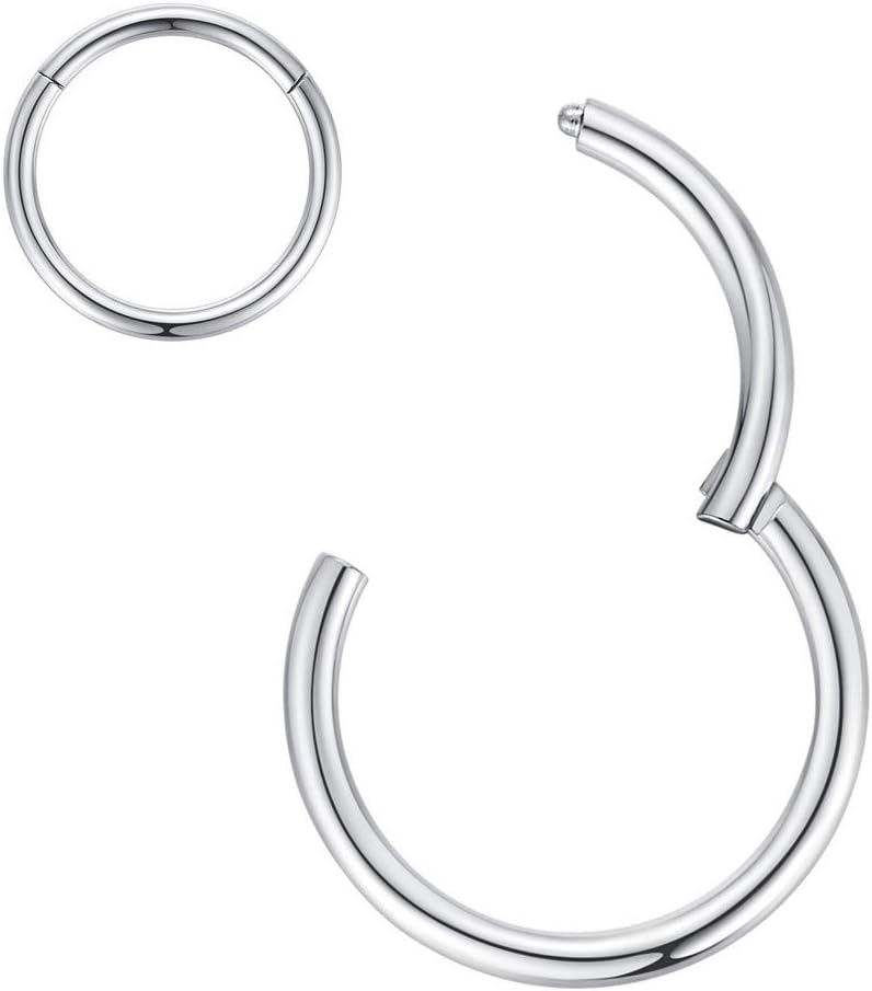 ORANGELOVE Hypoallergenic Nose Rings 20G 18G 16G 14G 12G 10G 8G 316l Surgical Steel Septum Jewelry Hinged Segment Ring Body Piercing Nose Hoop Lip Rings Nose Helix Cartilage Rook Earrings