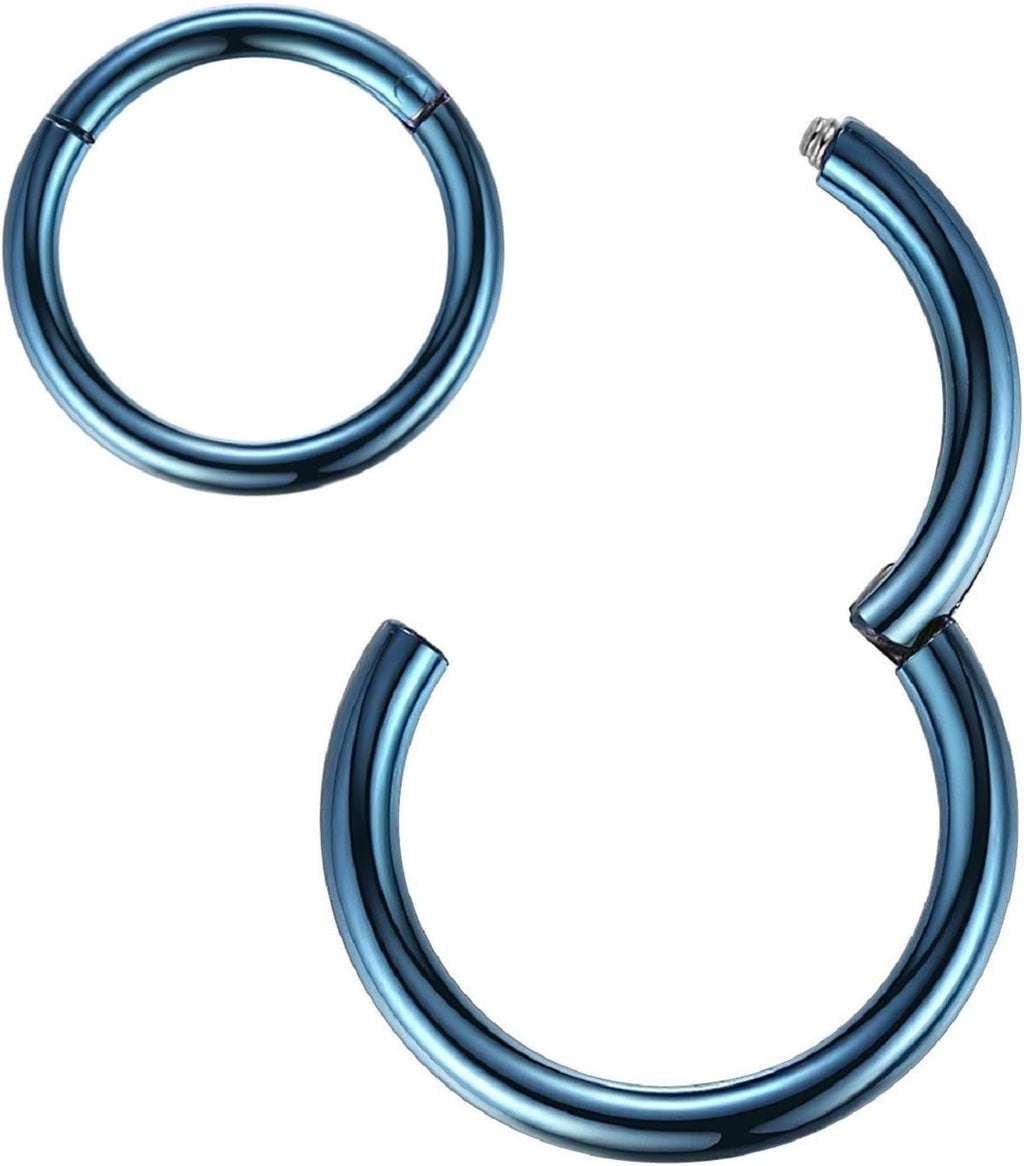 ORANGELOVE Hypoallergenic Nose Rings 20G 18G 16G 14G 12G 10G 8G 316l Surgical Steel Septum Jewelry Hinged Segment Ring Body Piercing Nose Hoop Lip Rings Nose Helix Cartilage Rook Earrings