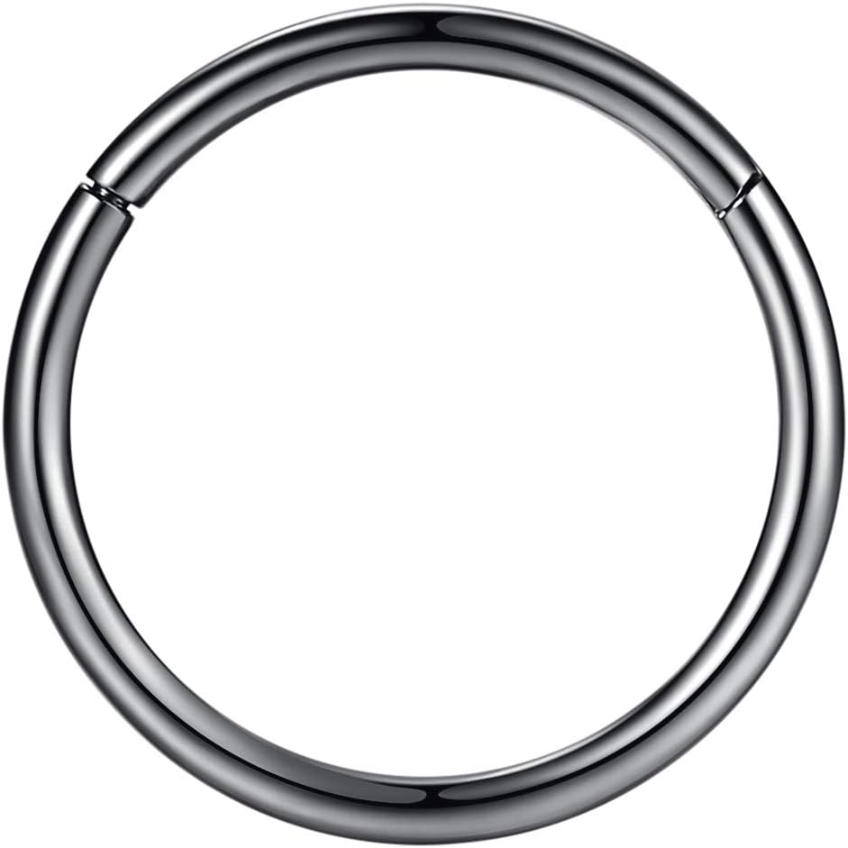 ORANGELOVE Hypoallergenic Nose Rings 20G 18G 16G 14G 12G 10G 8G 316l Surgical Steel Septum Jewelry Hinged Segment Ring Body Piercing Nose Hoop Lip Rings Nose Helix Cartilage Rook Earrings