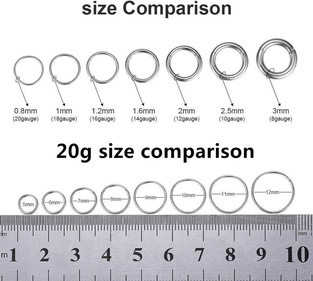 ORANGELOVE Hypoallergenic Nose Rings 20G 18G 16G 14G 12G 10G 8G 316l Surgical Steel Septum Jewelry Hinged Segment Ring Body Piercing Nose Hoop Lip Rings Nose Helix Cartilage Rook Earrings