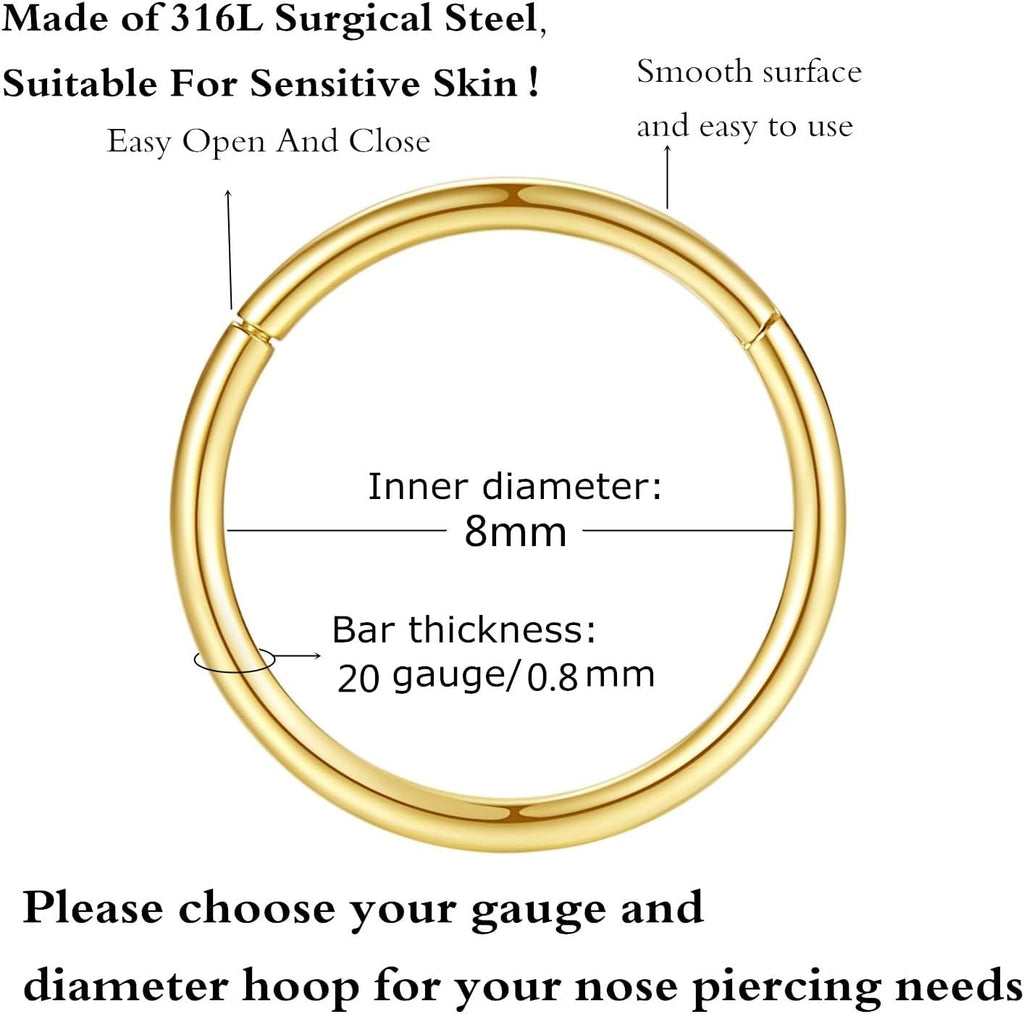 ORANGELOVE Hypoallergenic Nose Rings 20G 18G 16G 14G 12G 10G 8G 316l Surgical Steel Septum Jewelry Hinged Segment Ring Body Piercing Nose Hoop Lip Rings Nose Helix Cartilage Rook Earrings