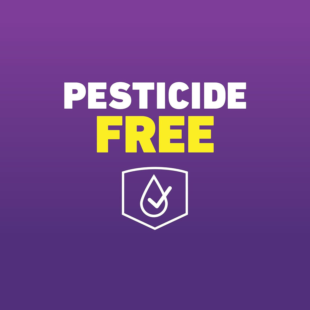 Ortho Home Defense Max Bed Bug, Flea and Tick Killer with Comfort Wand, Bed Bug Spray, Kills Bed Bug Eggs, Fleas and Ticks, 1 gal.