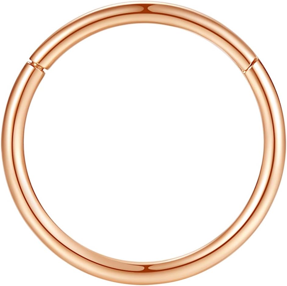 ORANGELOVE Hypoallergenic Nose Rings 20G 18G 16G 14G 12G 10G 8G 316l Surgical Steel Septum Jewelry Hinged Segment Ring Body Piercing Nose Hoop Lip Rings Nose Helix Cartilage Rook Earrings