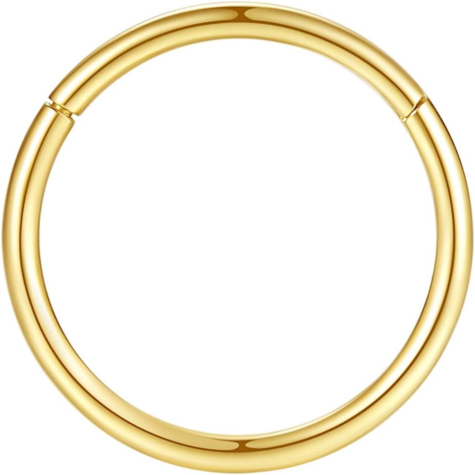 ORANGELOVE Hypoallergenic Nose Rings 20G 18G 16G 14G 12G 10G 8G 316l Surgical Steel Septum Jewelry Hinged Segment Ring Body Piercing Nose Hoop Lip Rings Nose Helix Cartilage Rook Earrings