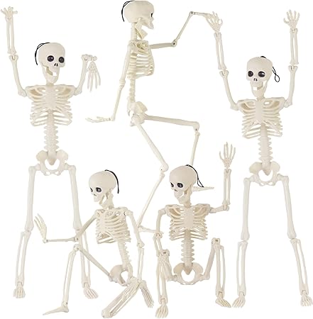 Feir 16" Skeletons Halloween Decorations – 5PCS Posable Full Body Skeletons with Movable Joints, Realistic Props for Outdoor Yard, Haunted House, Party & Indoor Halloween Decor
