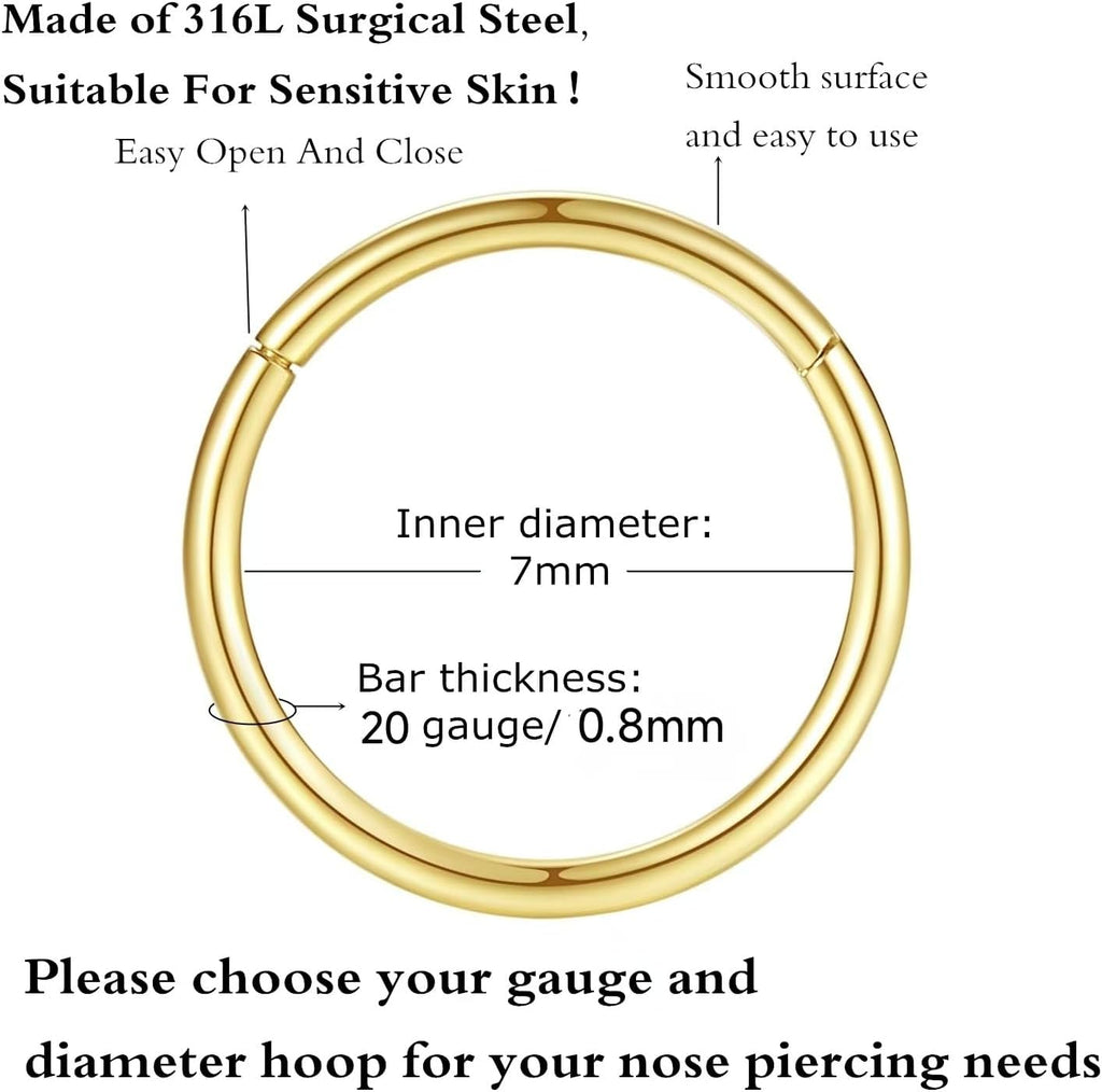 ORANGELOVE Hypoallergenic Nose Rings 20G 18G 16G 14G 12G 10G 8G 316l Surgical Steel Septum Jewelry Hinged Segment Ring Body Piercing Nose Hoop Lip Rings Nose Helix Cartilage Rook Earrings