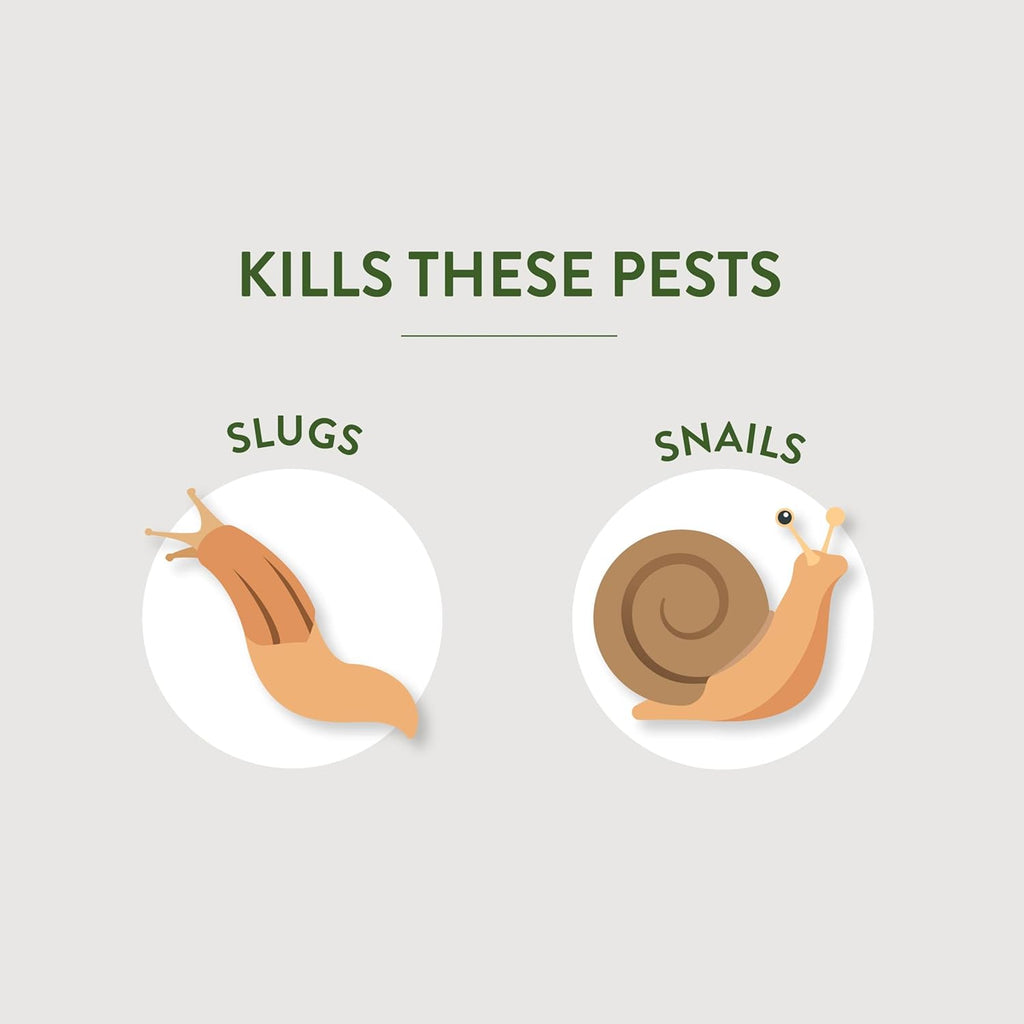 Garden Safe 32 oz. Insecticidal Soap Ready-to-Use, 1 Count (Pack of 1)