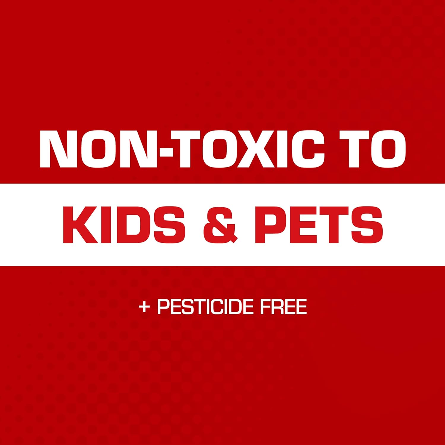 Tomcat Glue Traps Mouse Size with Eugenol for Enhanced Stickiness for Mice, Cockroaches, and Spiders, 6 Traps