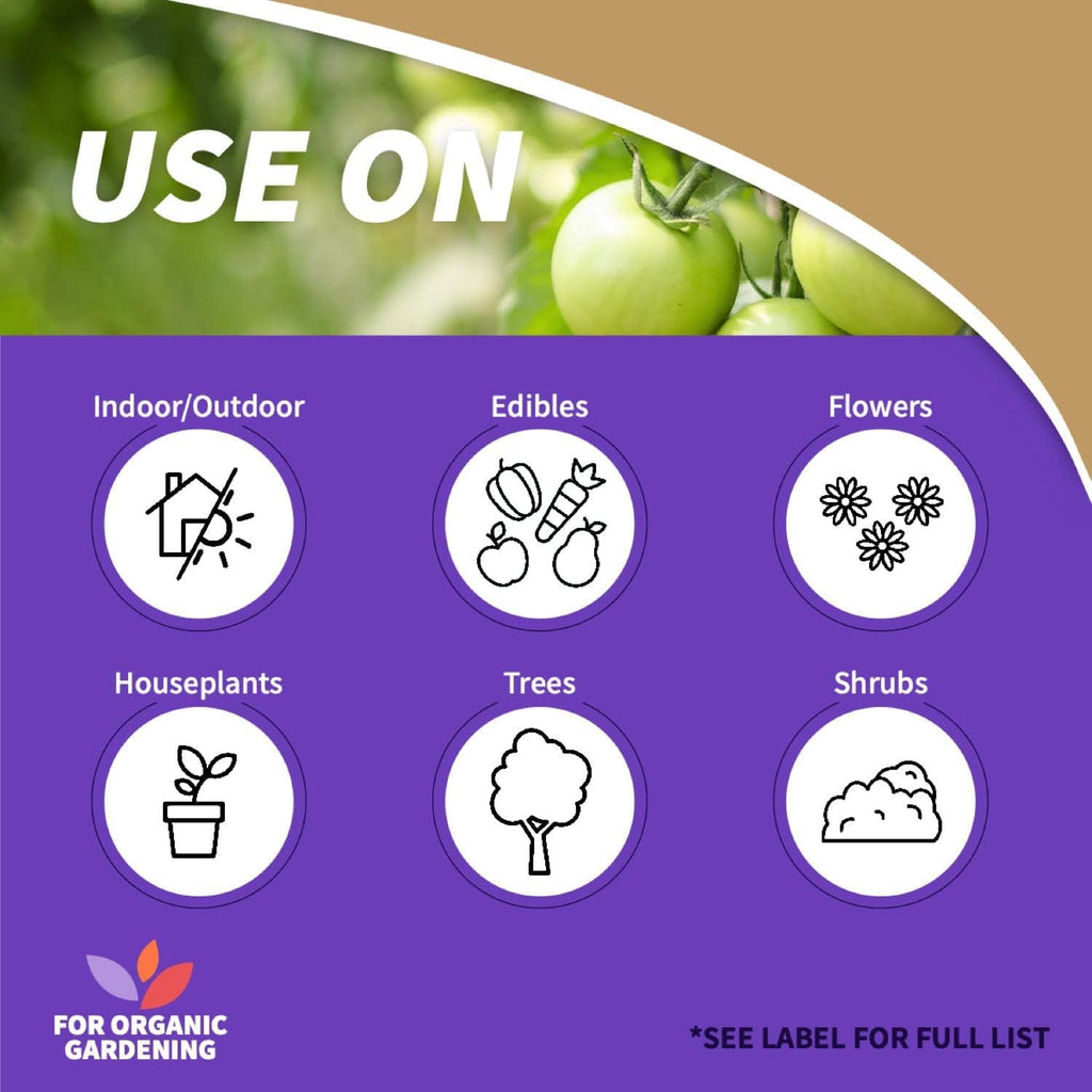 Bonide Captain Jack's Neem Oil, 32 oz Ready-to-Use Spray, Multi-Purpose Fungicide, Insecticide and Miticide for Organic Gardening