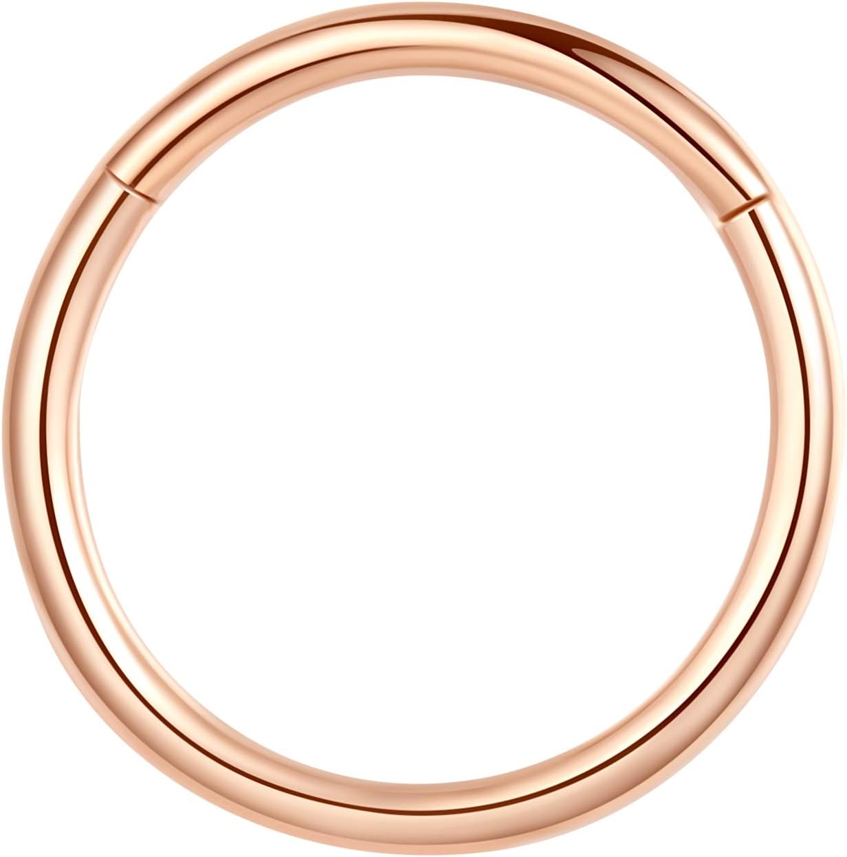 ORANGELOVE Hypoallergenic Nose Rings 20G 18G 16G 14G 12G 10G 8G 316l Surgical Steel Septum Jewelry Hinged Segment Ring Body Piercing Nose Hoop Lip Rings Nose Helix Cartilage Rook Earrings