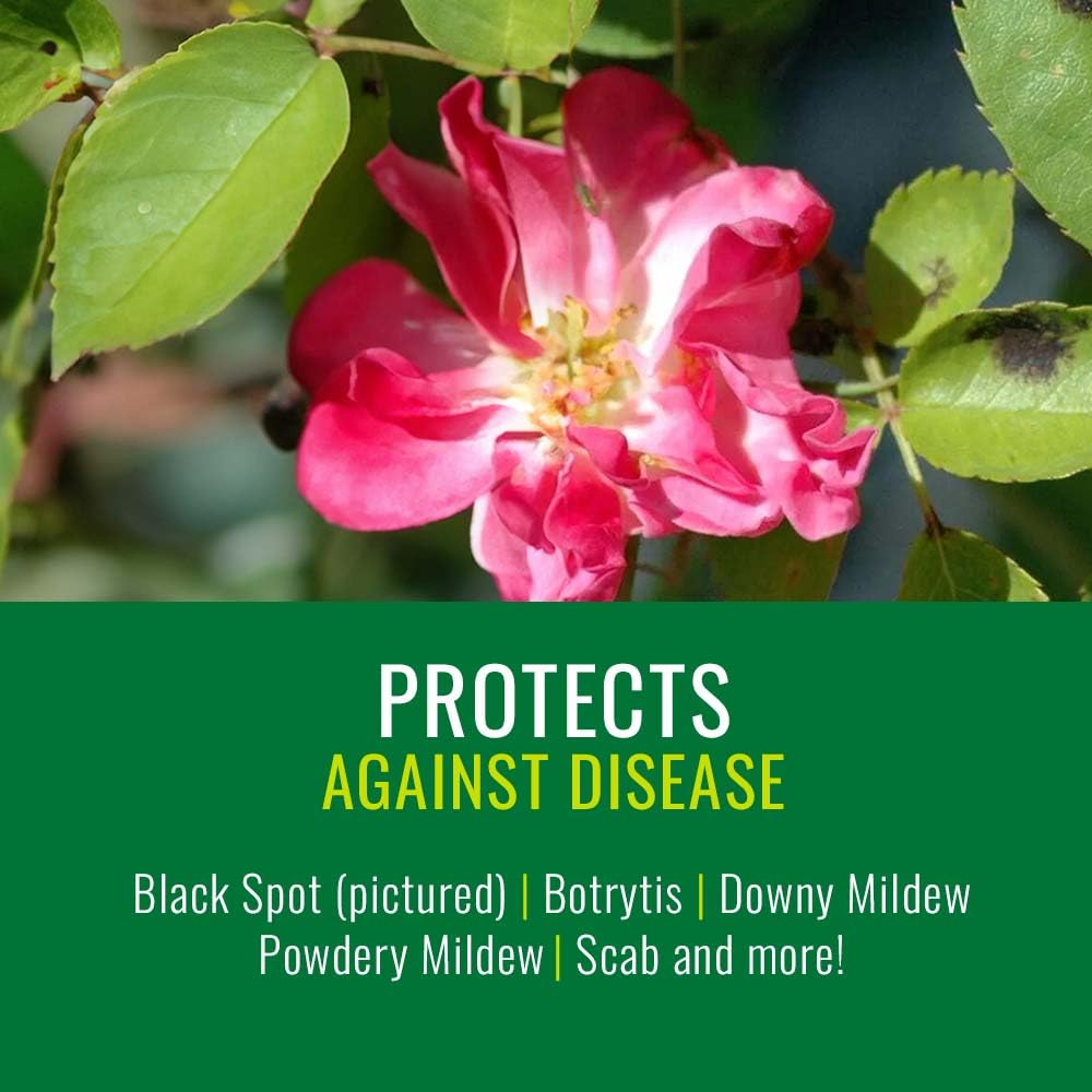 Natria Neem Oil Spray for Plants Pest Organic Disease Control, 24-Ounce, Ready-to-Use