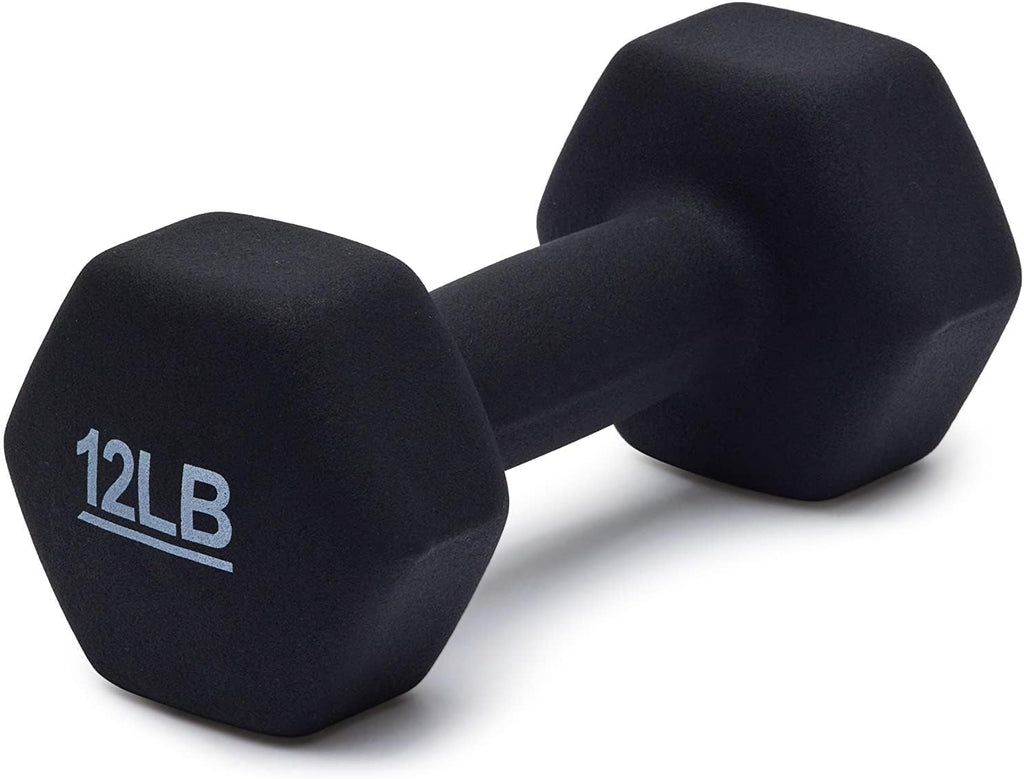 Basics Neoprene Dumbbell Hand Weights for Exercise and Muscle Toning