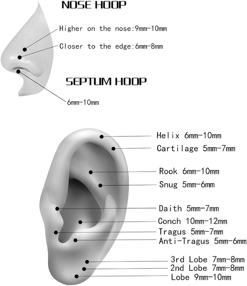 ORANGELOVE Hypoallergenic Nose Rings 20G 18G 16G 14G 12G 10G 8G 316l Surgical Steel Septum Jewelry Hinged Segment Ring Body Piercing Nose Hoop Lip Rings Nose Helix Cartilage Rook Earrings