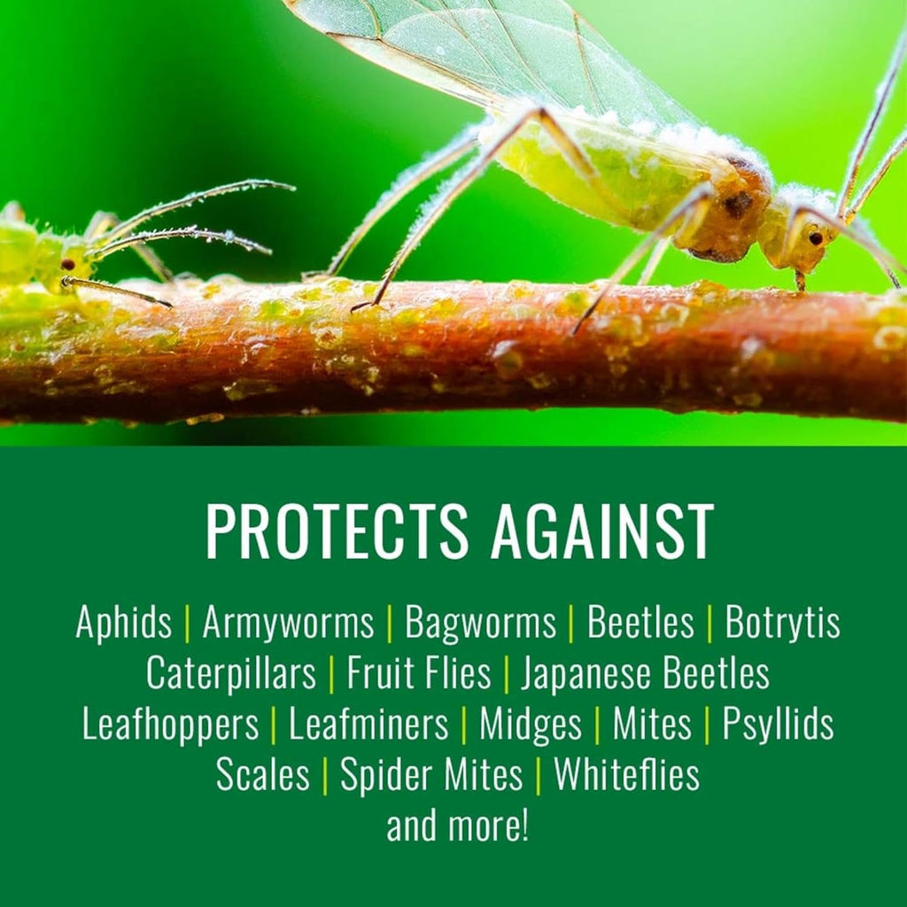 Natria Neem Oil Spray for Plants Pest Organic Disease Control, 24-Ounce, Ready-to-Use