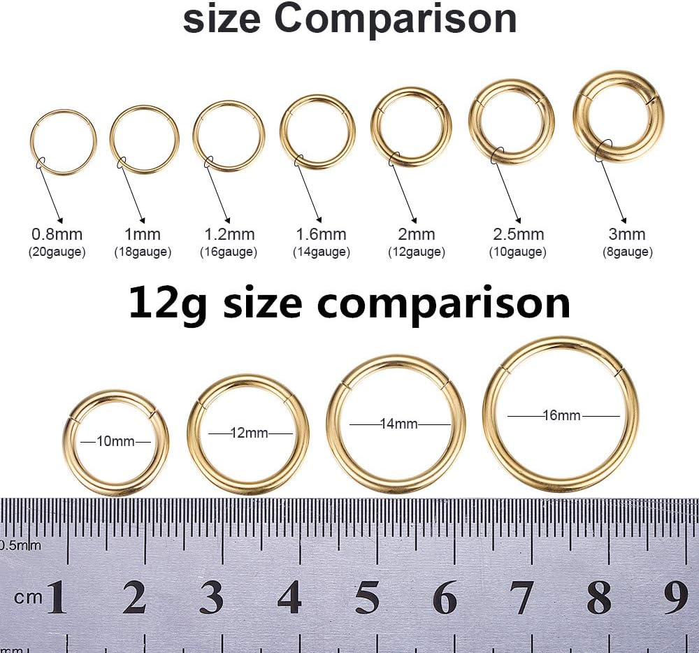 ORANGELOVE Hypoallergenic Nose Rings 20G 18G 16G 14G 12G 10G 8G 316l Surgical Steel Septum Jewelry Hinged Segment Ring Body Piercing Nose Hoop Lip Rings Nose Helix Cartilage Rook Earrings