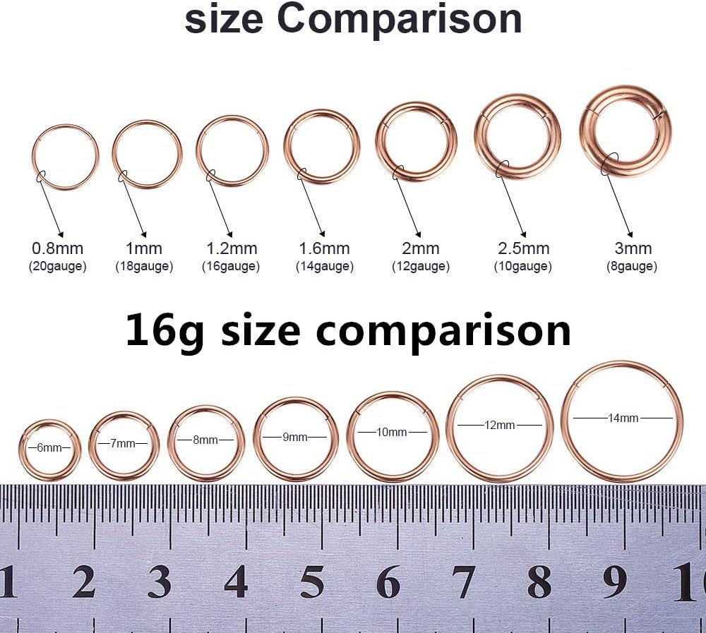 ORANGELOVE Hypoallergenic Nose Rings 20G 18G 16G 14G 12G 10G 8G 316l Surgical Steel Septum Jewelry Hinged Segment Ring Body Piercing Nose Hoop Lip Rings Nose Helix Cartilage Rook Earrings