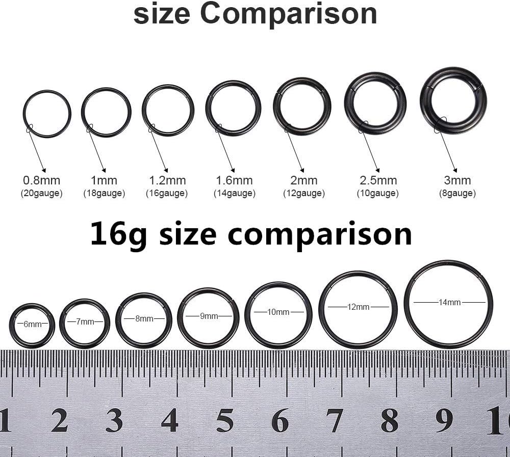 ORANGELOVE Hypoallergenic Nose Rings 20G 18G 16G 14G 12G 10G 8G 316l Surgical Steel Septum Jewelry Hinged Segment Ring Body Piercing Nose Hoop Lip Rings Nose Helix Cartilage Rook Earrings