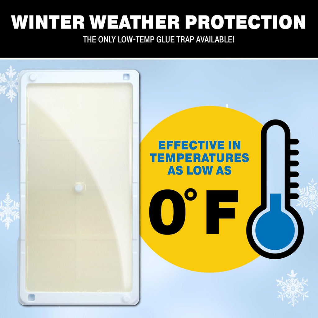 Catchmaster Rat, Snake and Mouse Traps 10Pk, Large Bulk Glue Rat Traps for Home, Adhesive Plastic Tray for Inside House, Snake, Mice, & Spider Catcher, Pest Control for House & Garage