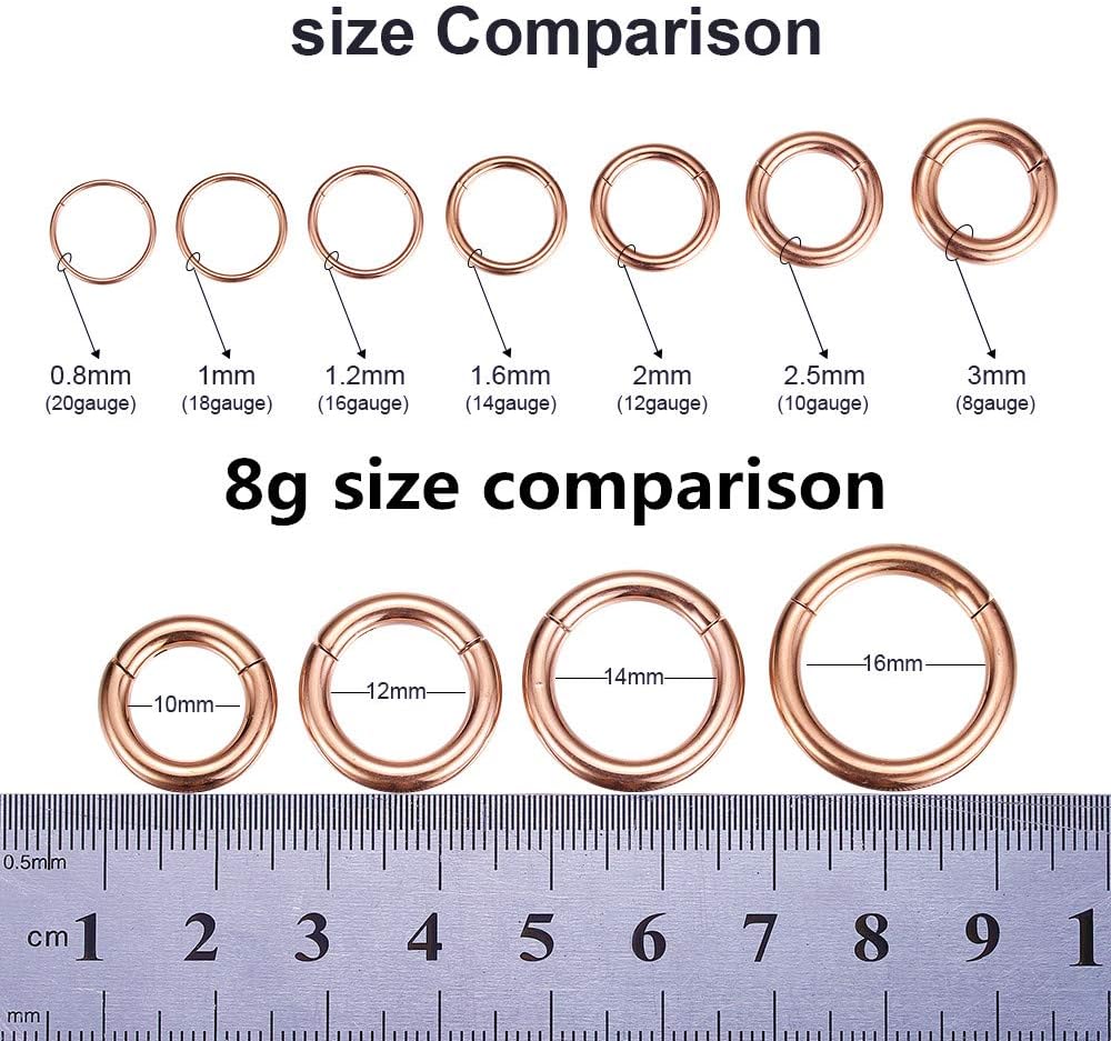 ORANGELOVE Hypoallergenic Nose Rings 20G 18G 16G 14G 12G 10G 8G 316l Surgical Steel Septum Jewelry Hinged Segment Ring Body Piercing Nose Hoop Lip Rings Nose Helix Cartilage Rook Earrings