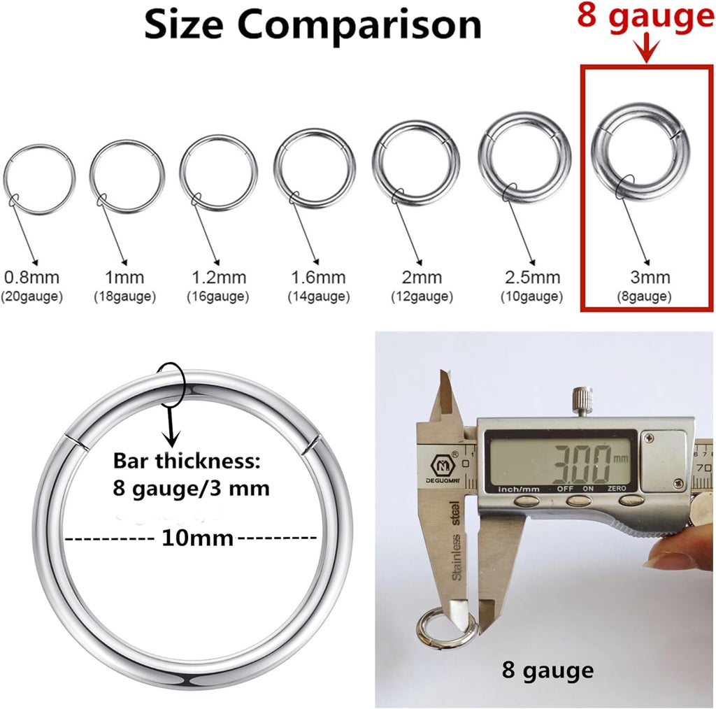 ORANGELOVE Hypoallergenic Nose Rings 20G 18G 16G 14G 12G 10G 8G 316l Surgical Steel Septum Jewelry Hinged Segment Ring Body Piercing Nose Hoop Lip Rings Nose Helix Cartilage Rook Earrings