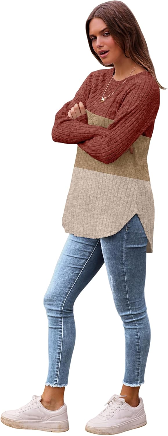 Saloogoe Long Sleeve Shirts for Women 2025 Fall Clothes Tunic Tops Loose Fit Dressy Crewneck Pullover Sweaters Curved Hem